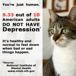 Mental Health Awareness Adult Depression Cat
