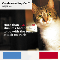 Condescending Cat Knows You Might Be A Terrorist
