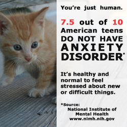 Mental Health Awareness Teen Anxiety Kitten